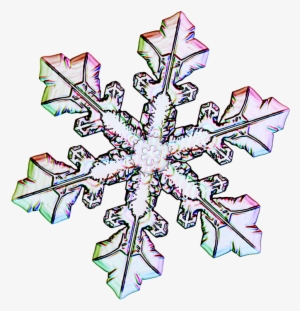 Book Ceh Certified Ethical Hacker All In One Exam - Snowflakes #1 Canvas Art - Us Postal Service (24 X #698555