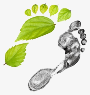 Grid Vs Green - Illustration #698651