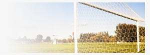Soccer Netting - Tree #698816 Soccer Netting - Tree #698816