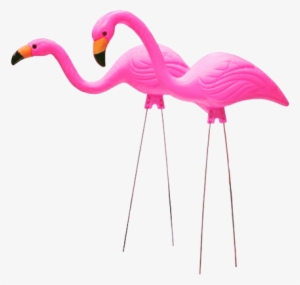 Plastic Flamingo Png - 26 In. Pink Flamingo (2-pack) #699570