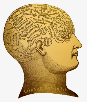 Phrenology - Analysis Of The Phenomena Of The Human Mind #699647
