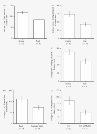 The Response Of Hermit Crabs To Approaching Threats #6900516