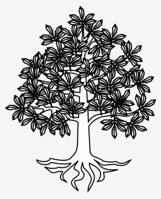 Tree Roots Vector Png #6901462 Tree Roots Vector Png #6901462