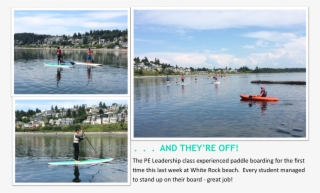 Paddle Boarding #6902770