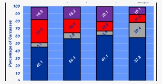 September 2017 Holstein Cattle Growing In Beef Business #6903092