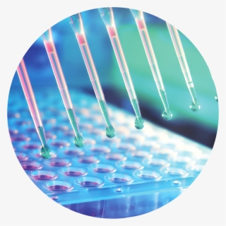 Inspiring The Sector To Action And Engaging With Partners #6905233