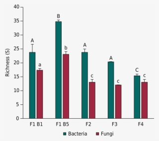 Diversity Of Fungal And Bacterial Communities As Evaluated #6907306