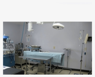 Surgery At Fort Wayne Animal Hospital #6907357