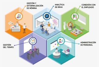 Ayudamos A Gestionar Todas Las Áreas Clave De La Gestión #6907895