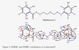 Proton Pattern Of The 1st And 2nd Aromatic Ring Of #6910213