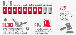 When Protecting Your Hotel From Bed Bugs, It's Important #6914082