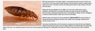 Bed Bug Extermination Millersville Md Bed Bugs Have #6914775