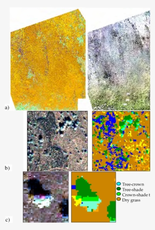 A Dry Forest Ecosystem From The North Kona Region In #6915006