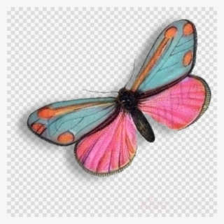 Download Monarch Butterfly Clipart Monarch Butterfly #6920689