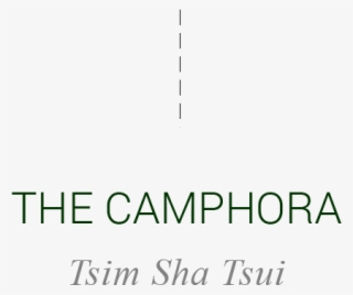 Transparent Tumblr Words Png #6921401