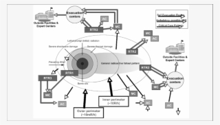 Diagram Of The Radiation Triage, Transport, And Treatment #6923518