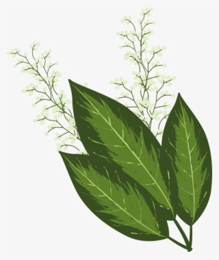 Four Seasons Weed Management #6923934