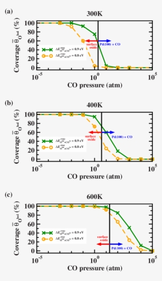 Color Online Average Occupation Of Hollow Sites By #6924745