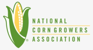 Ncga Logo V2 #6925329