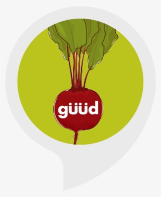 Get The Alexa Flash Briefing #6928319