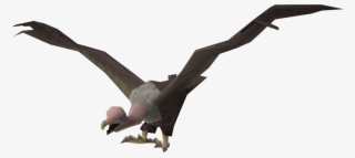 Trivia - Vulture #6928547