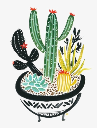 Cactaceae Succulent Plant Painting Painted Cactus Handpainted #6929793