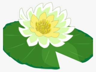 Lily Pad Clipart Water Lily #6930372