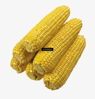 Corn #6931414