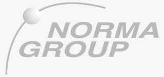 Norma-grey #6931755