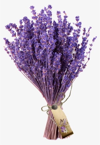 Fleurs, Éclat, Ornement, Flowers, Tubes, Bouquets, #6933308