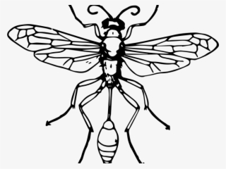 Tombstone Clipart Funeral Angel #6933771