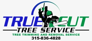 Stump Removal #6935254