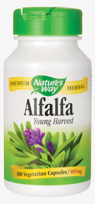 Alfalfa V=1497802868 #6935342