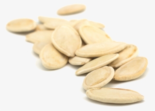 Pumpkin Seeds Png Clipart #6935872