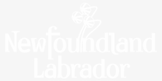 Newfoundland Logo White #6936073 Newfoundland Logo White #6936073