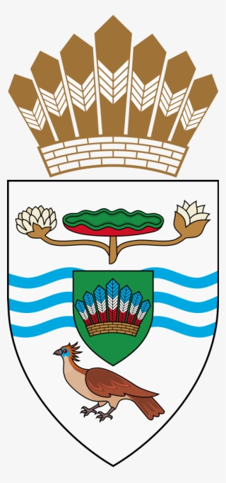 Arms Of The President Of Guyana #6936727