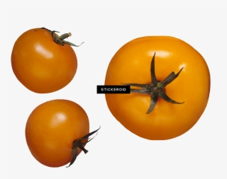 Tomato #6937561