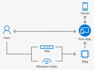 Microsoft Passport #6937608