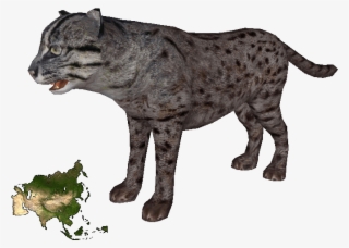 Fishing Cat #6938187