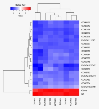 Eggnog Nog Heatmap #6939813