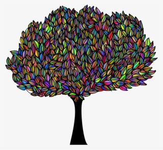 Banyan Tree Polyprismatic #6940047