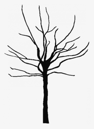 Banner Library Tree Silhouette At Getdrawings Com Free #6940133