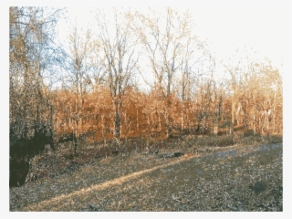 This Free Icons Png Design Of Missouri Nature 2 #6940363