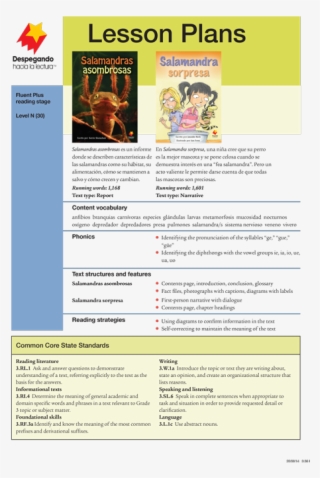Fluent Plus Lesson Plan Set [spanish] #6943354