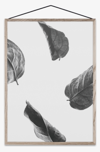 Floating Leaves #6945251