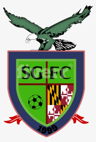 Tracing, Convert, Redraw Any Logo Or Image At Fast #6946044