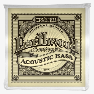 Ernie Ball Earthwood Phosphor Bronze Acoustic Bass #6946885