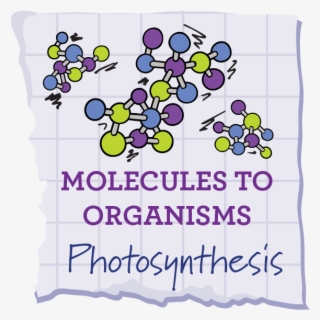 Previous Lesson Next Lesson Unit Overview - Free Transparent PNG ...