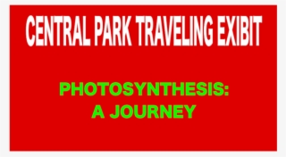 Photosynthesis #6947912