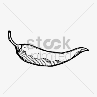 Chili Drawing At Getdrawings #6948875